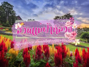 สวนแม่ฟ้าหลวง ที่เที่ยวเชียงราย สวนดอกไม้เมืองหนาว สีสันงดงาม