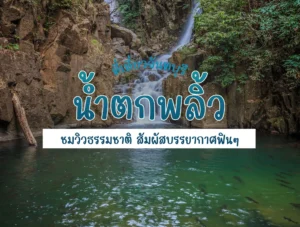 น้ำตกพลิ้ว ที่เที่ยวจันทบุรี ชมวิวธรรมชาติ สัมผัสบรรยากาศฟิน ๆ