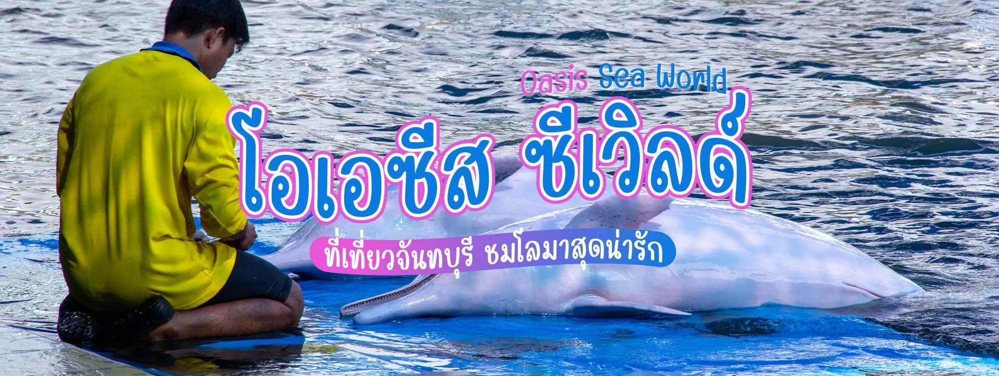 โอเอซีส ซีเวิลด์ (Oasis Sea World) ที่เที่ยวจันทบุรี ชมโลมาสุดน่ารัก