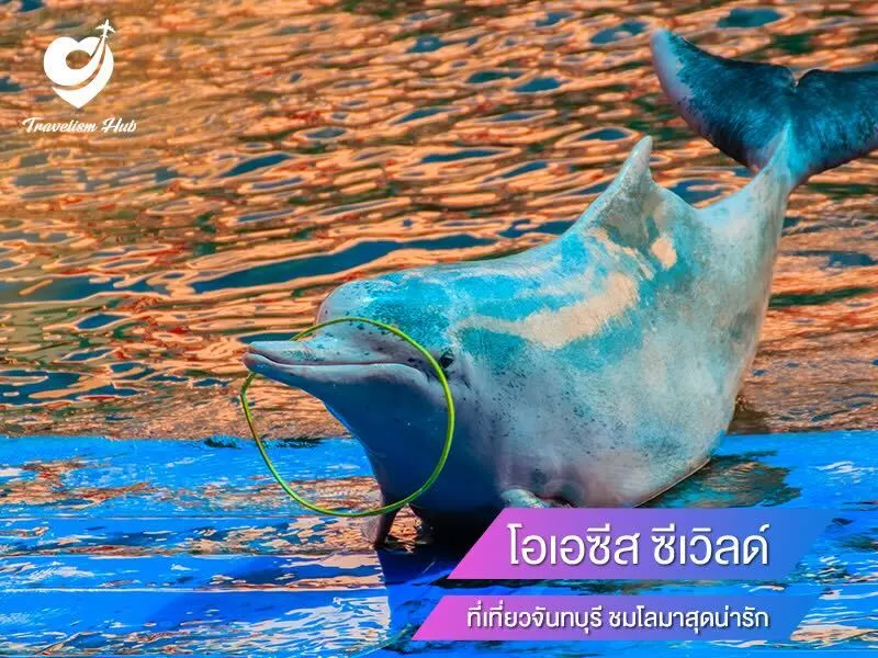 โอเอซีส ซีเวิลด์ (Oasis Sea World) ที่เที่ยวจันทบุรี