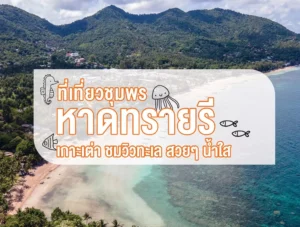 หาดทรายรี ที่เที่ยวชุมพร เกาะเต่า ชมวิวทะเลสวย ๆ น้ำใส