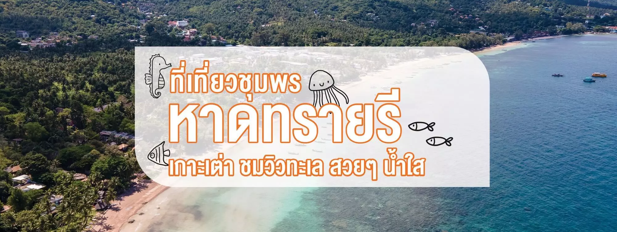 หาดทรายรี ที่เที่ยวชุมพร เกาะเต่า ชมวิวทะเลสวย ๆ น้ำใส